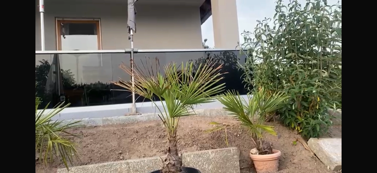 Ganzglasgelaender mit grauen Verbundsicherheitsglas modern und zeitlos