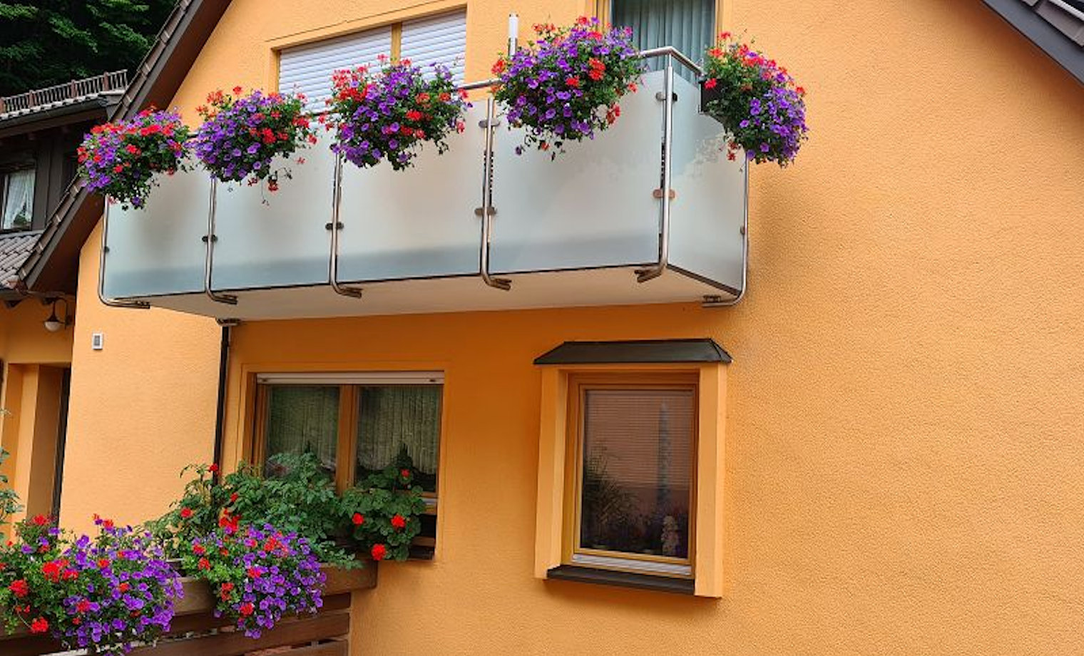 Edelstahlgeländer mit Glasfüllung von unten verschraubt und mit Blumenkästen dekoriert Edelstahlgeländer mit Glasfüllung von unten verschraubt und mit Blumenkästen dekoriert